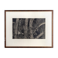 Ans Woldringh, Under the bushes