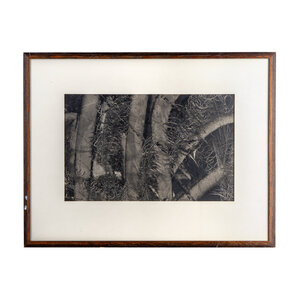 Gemeente Ede Ans Woldringh, Under the bushes