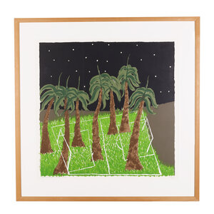 De Bibliotheek aan de Vliet Rhani Mohabiersing, Grass