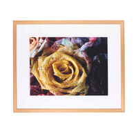 Bert Houweling, Rose 5