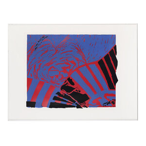 De Bibliotheek aan de Vliet M. Neefjes, First impression