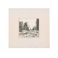 Herman van Tongeren, Large Tree Trunk