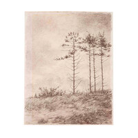 Ton Pape, Winter in het duin