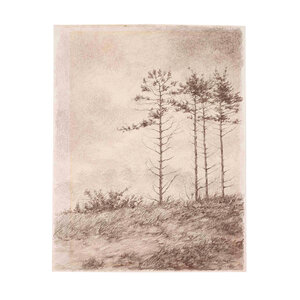 De Bibliotheek aan de Vliet Ton Pape, Winter in het duin