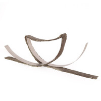 Fredy Wolf, Untitled