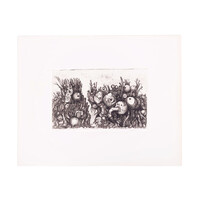 Henk Molenaar, My tuber garden