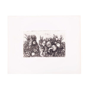 De Bibliotheek aan de Vliet Henk Molenaar, My tuber garden