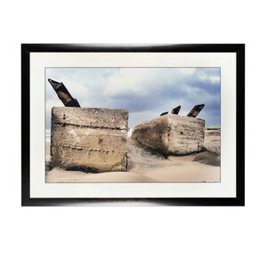 Gemeente Noordwijk Els Bax, Coastal reinforcement Noordwijk 2007-2008