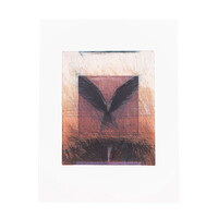 Hans Vredegoor, Hovering bird