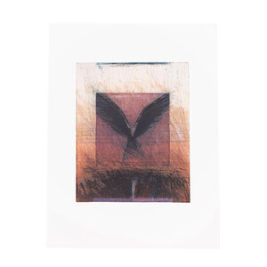 De Bibliotheek aan de Vliet Hans Vredegoor, Hovering bird