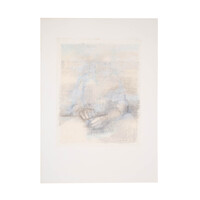 C. van Dam, Dagdroom