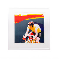 Frank Gude, Joop Zoetemelk