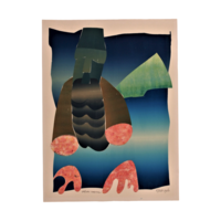 Wim Koster, Valsche Sweeren