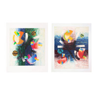 Theo Schuurman, Les Pyrenees