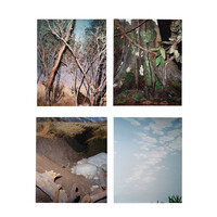 Eva Leitolf, Ganz still und stumm (1-4)