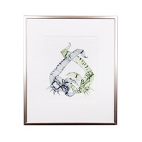 Reinhoud D'Haese, 'Crevettes'