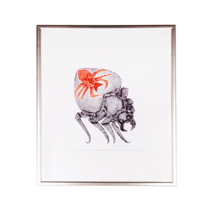 Private Collecties Reinhoud D'Haese, 'Araignées'