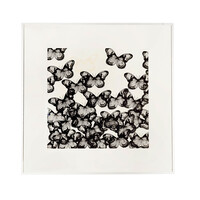 Marianne Stroband, 'Zwerm'