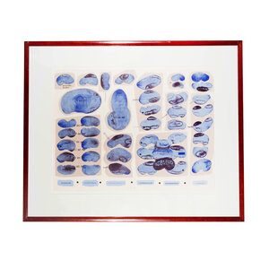 Publieke Collecties Elisabeth de Vaal, 'Coördinator'