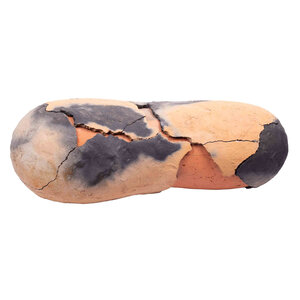 Gemeente Haarlemmermeer Steven Heinemann, Zonder titel