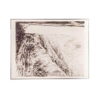 Ursula Neubauer, 'Lichtveld'