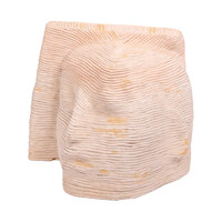 Marina van der Kooi, 'Leaning head'