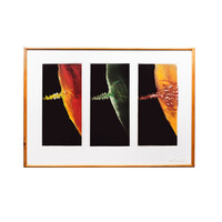 Madeleine Leddy, 'Orakel'