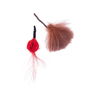 Mystery Museum Pluimdecoratie van exotische veren