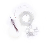 Set of different types of exotic feathers