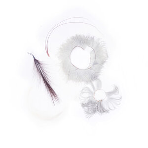 Mystery Museum Set of different types of exotic feathers