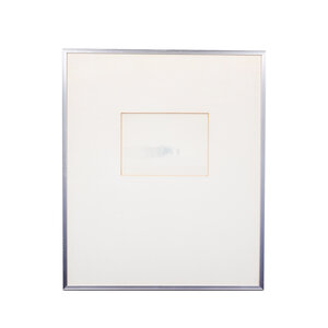 Gemeente Haarlemmermeer Bob Nieuwenhuysen, 'Forest edge'