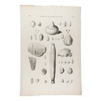 Lithograph naturalia