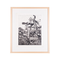 Aat Veldhoen, 'Cactus in landschap op Ibiza'