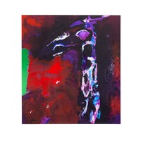 Nico Molenkamp, Giraffe