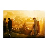 Hedayat Amid, 'Livestock seller'