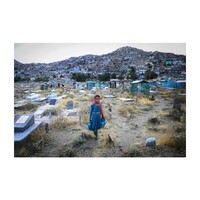 Hedayat Amid, 'Salema'