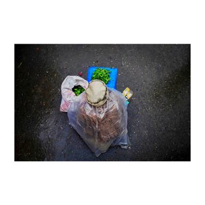 Museum Vlaardingen Hedayat Amid, 'Man selling vegetables'