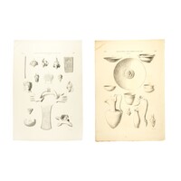 Litho's pots and jugs