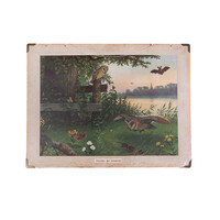 Schoolplaat 'Vrienden der duisternis' / 'Water- en weidevoges' van M.A. Koekoek