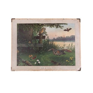 Streekhistorisch Centrum Stadskanaal School poster “Friends of Darkness” / “Water and Meadow Birds” by M.A. Koekoek