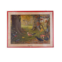 Schoolplaat 'Boschvogels' / 'Zeehonden en Bruinvisschen' / 'Insecten' van M.A. Koekoek,