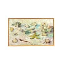 H. Jan Schouten, 'Shells'