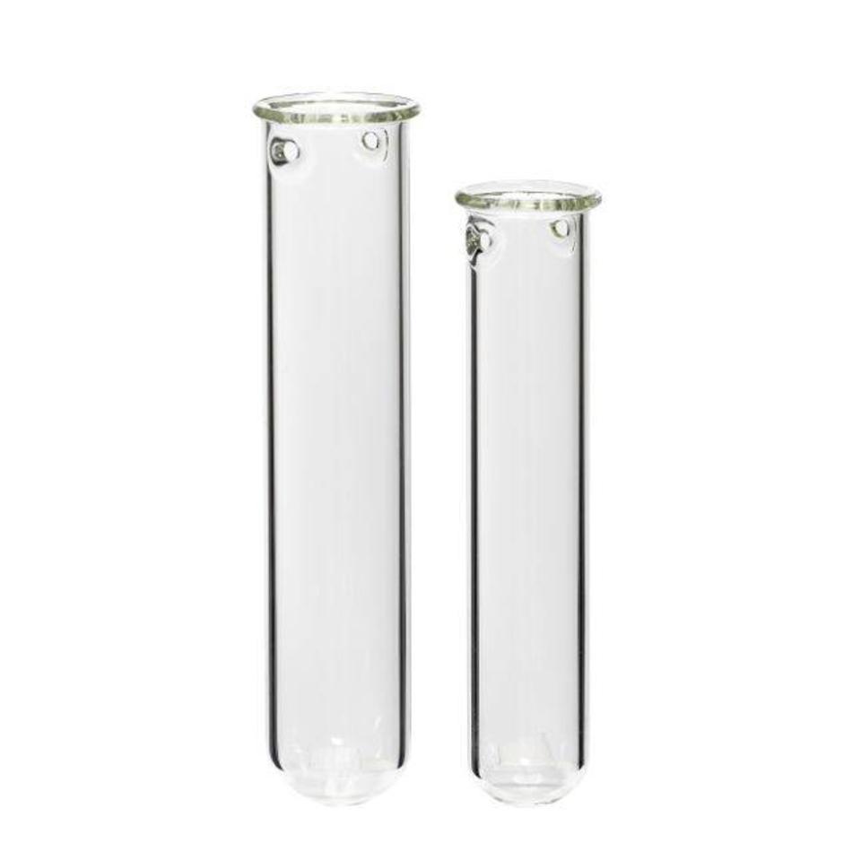Set of two - Glass tubes for flowers