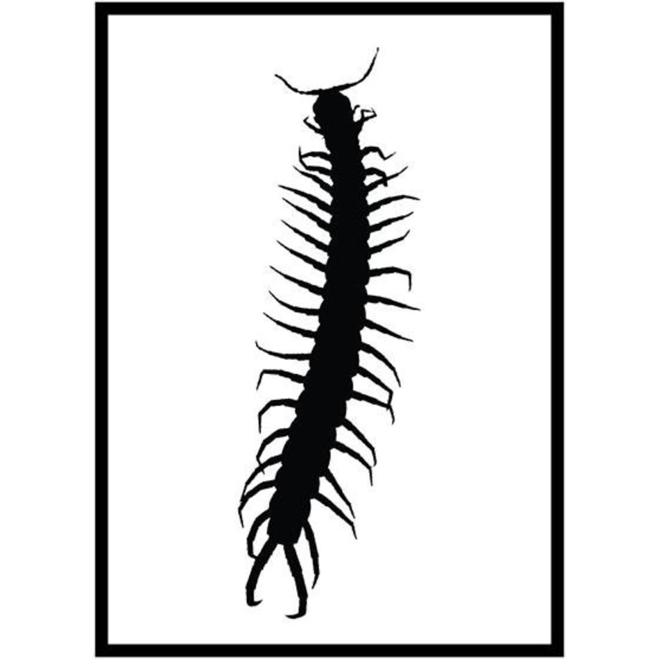 Poster centipede