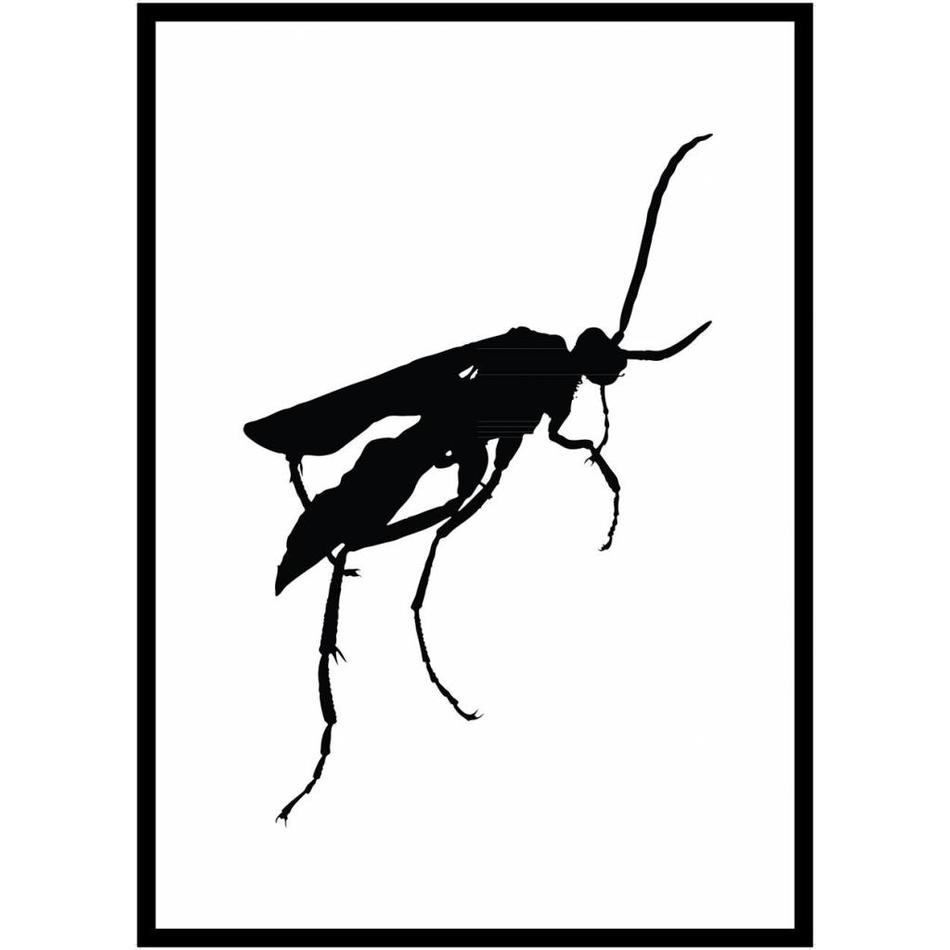 Zwart wit insecten poster