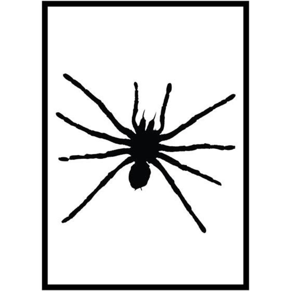 Poster black spider