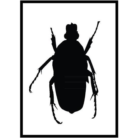 Poster black beetle
