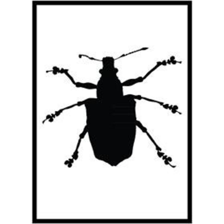 Monochrome poster beetle