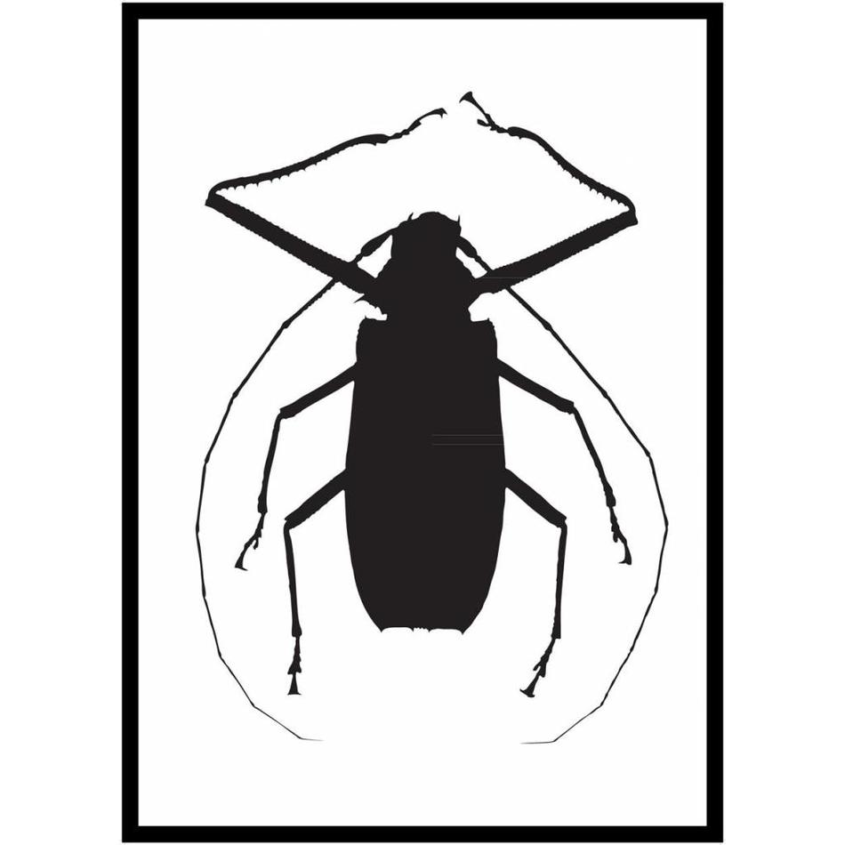 Graphic poster Black beetle