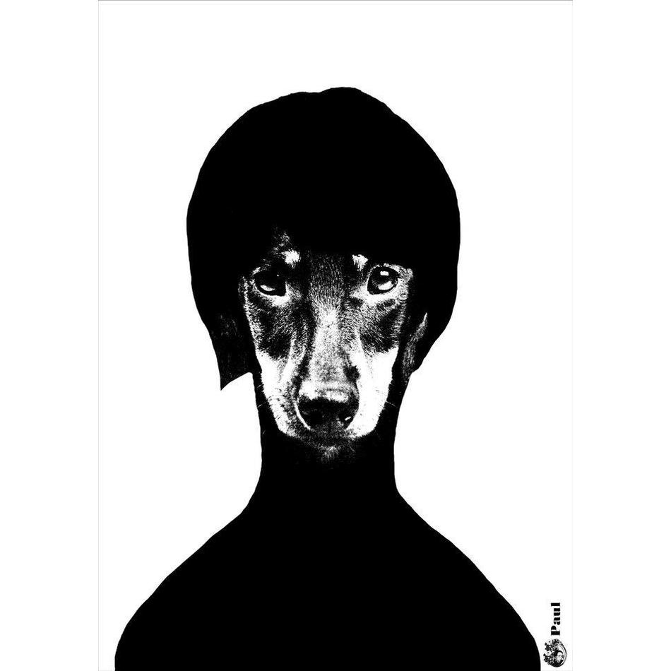 A4 black poster - Paul